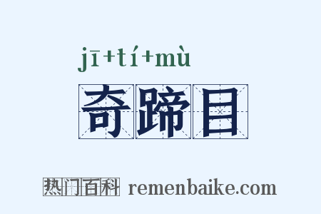 奇蹄目是什么意思的图片